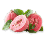 guava